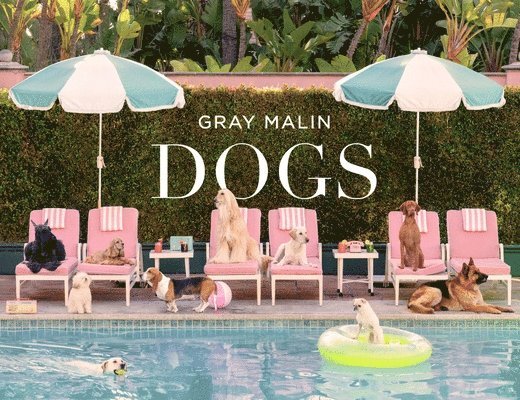 Gray Malin - Gray Malin: Dogs, Inbunden