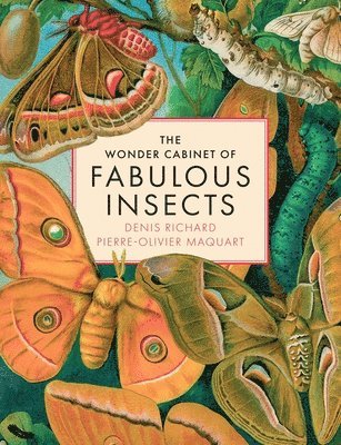Denis Richard, Pierre-Olivier Maquart - Wonder Cabinet of Fabulous Insects, Inbunden