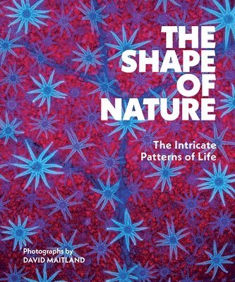David Maitland - Shape of Nature, Inbunden. Tillgänglighet: Lägg i varukorg