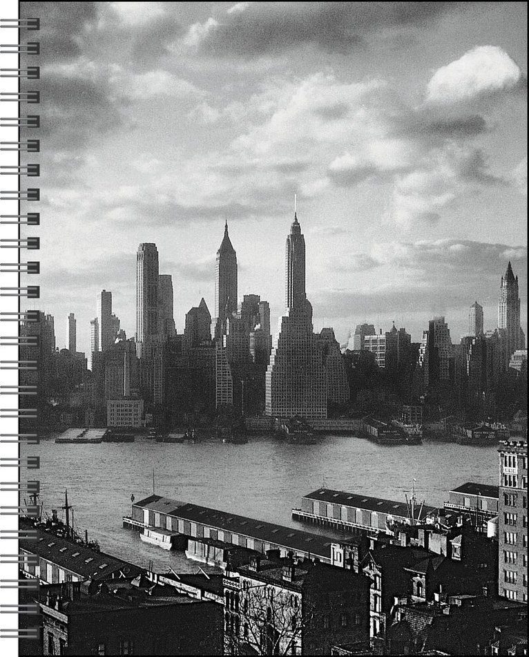 The Metropolitan Museum Of Art - New York in Art 12-Month 2027 Engagement Calendar, Övrigt. Tillgänglighet: Lägg i varukorg