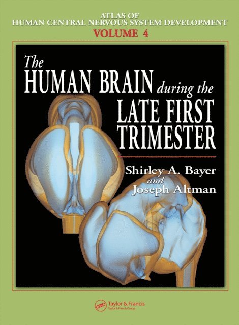 Joseph Altman, Shirley A. Bayer - Human Brain During the Late First Trimester, E-bok