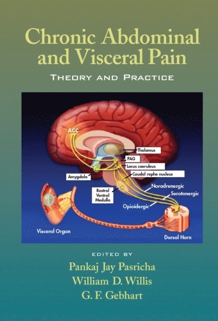 G. F. Gebhart, William D. Willis, Pankaj Jay Pasricha - Chronic Abdominal and Visceral Pain, E-bok