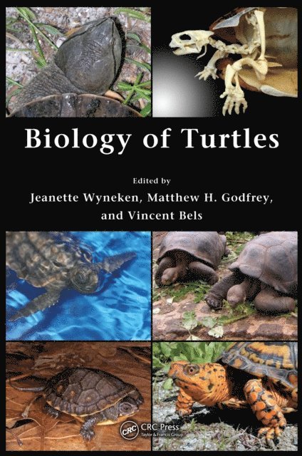 Vincent Bels, Matthew H. Godfrey, Jeanette Wyneken - Biology of Turtles, E-bok