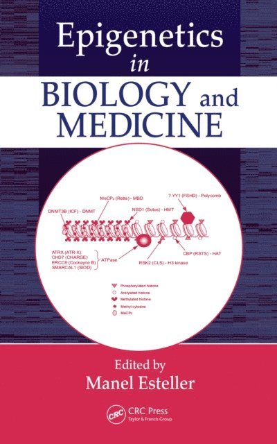 Manel Esteller - Epigenetics in Biology and Medicine, E-bok
