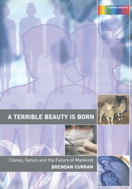Brendan Curran - Terrible Beauty is Born, E-bok