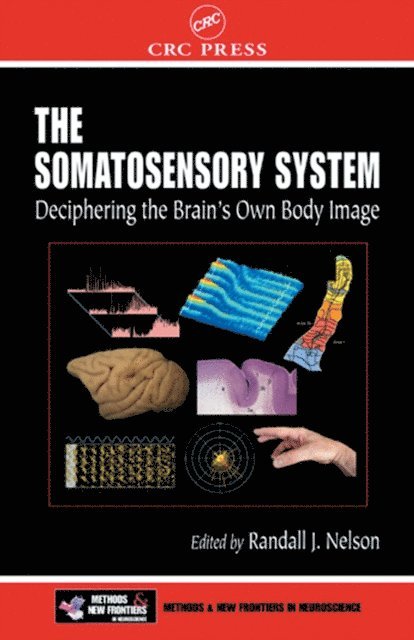 Randall J. Nelson - Somatosensory System, E-bok. Tillgänglighet: Lägg i varukorg
