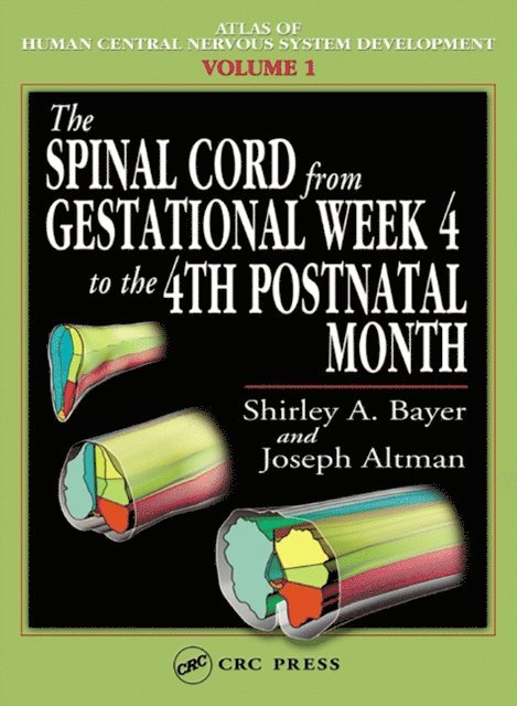 Joseph Altman, Shirley A. Bayer - Spinal Cord from Gestational Week 4 to the 4th Postnatal Month, E-bok