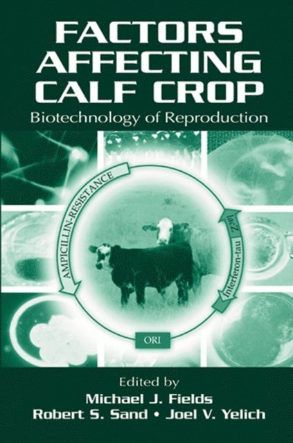 Joel V. Yelich, Robert S. Sand, Michael J. Fields - Factors Affecting Calf Crop, E-bok