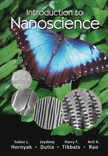 Anil Rao, H.F. Tibbals, Joydeep Dutta, Gabor L. Hornyak - Introduction to Nanoscience, E-bok