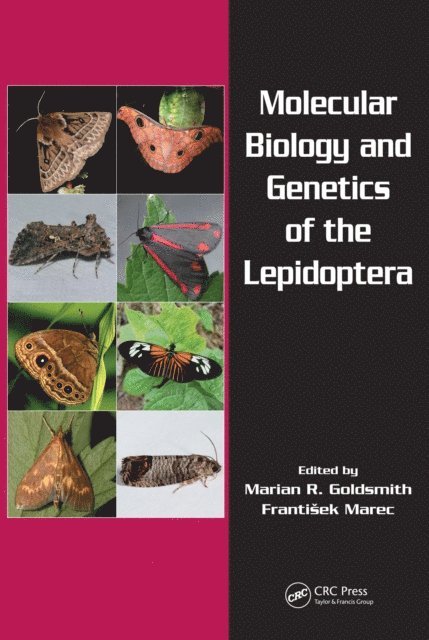 Frantisek Marec, Marian R. Goldsmith - Molecular Biology and Genetics of the Lepidoptera, E-bok