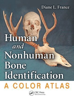 Diane L. France - Human and Nonhuman Bone Identification, Inbunden