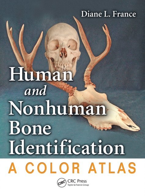 Diane L. France - Human and Nonhuman Bone Identification, E-bok