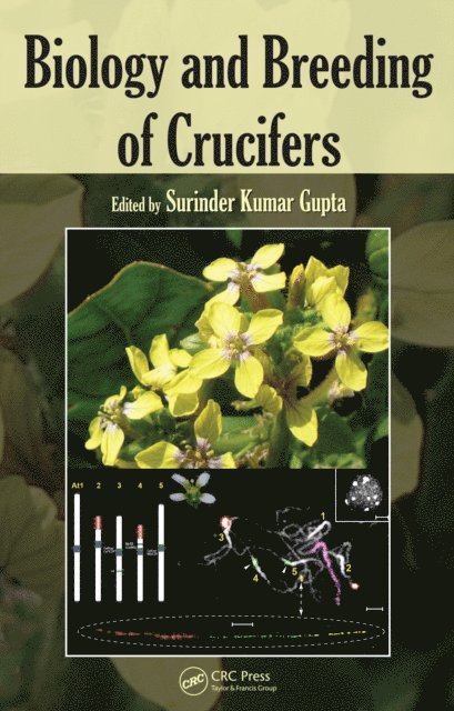 Surinder Kumar Gupta - Biology and Breeding of Crucifers, E-bok