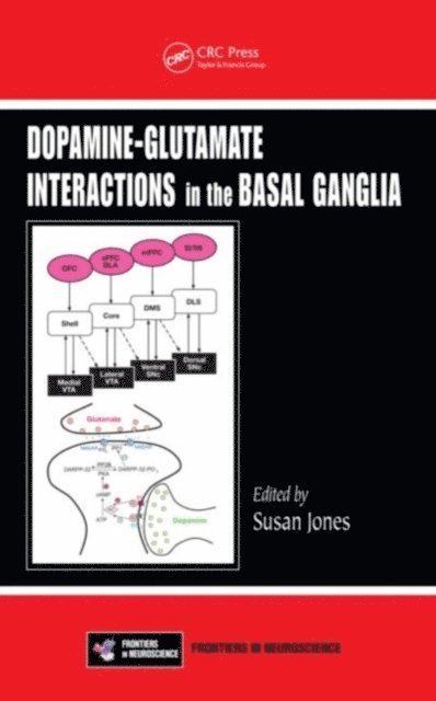 Susan Jones - Dopamine - Glutamate Interactions in the Basal Ganglia, E-bok