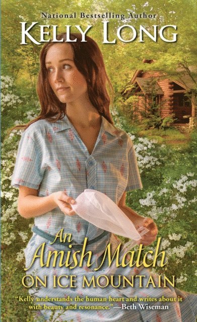 Kelly Long - Amish Match on Ice Mountain, E-bok