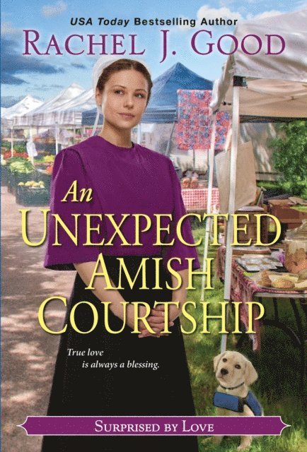 Rachel J. Good - Unexpected Amish Courtship, E-bok