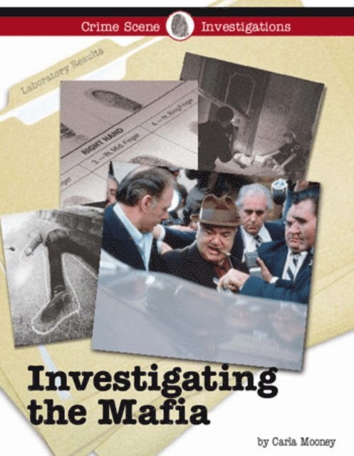 Carla Mooney - Investigating the Mafia, E-bok