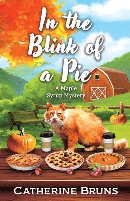 Catherine Bruns - In the Blink of a Pie, Häftad