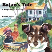 Bajan's Tale
