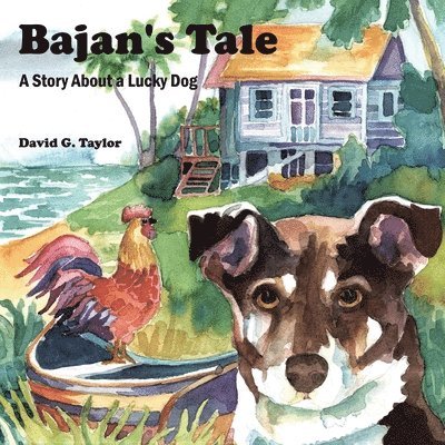 David G. Taylor - Bajan's Tale, Häftad