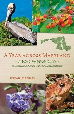Bryan MacKay - Year across Maryland, Häftad. Tillgänglighet: Tillfälligt slut