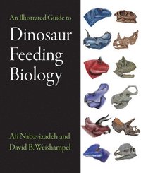 Illustrated Guide to Dinosaur Feeding Biology