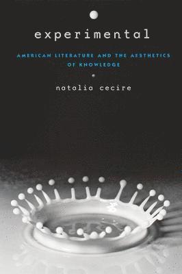 Natalia Cecire - Experimental, Inbunden