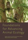 Foundations for Advancing Animal Ecology