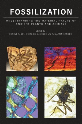 Carole T. Gee, Victoria E. McCoy, P. Martin Sander - Fossilization, Inbunden. Tillgänglighet: Lägg i varukorg