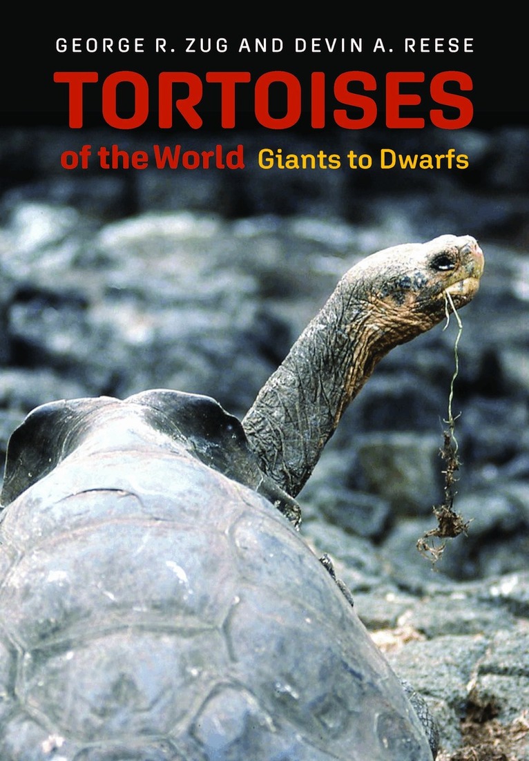 George R. Zug, Devin A. Reese - Tortoises of the World, Inbunden