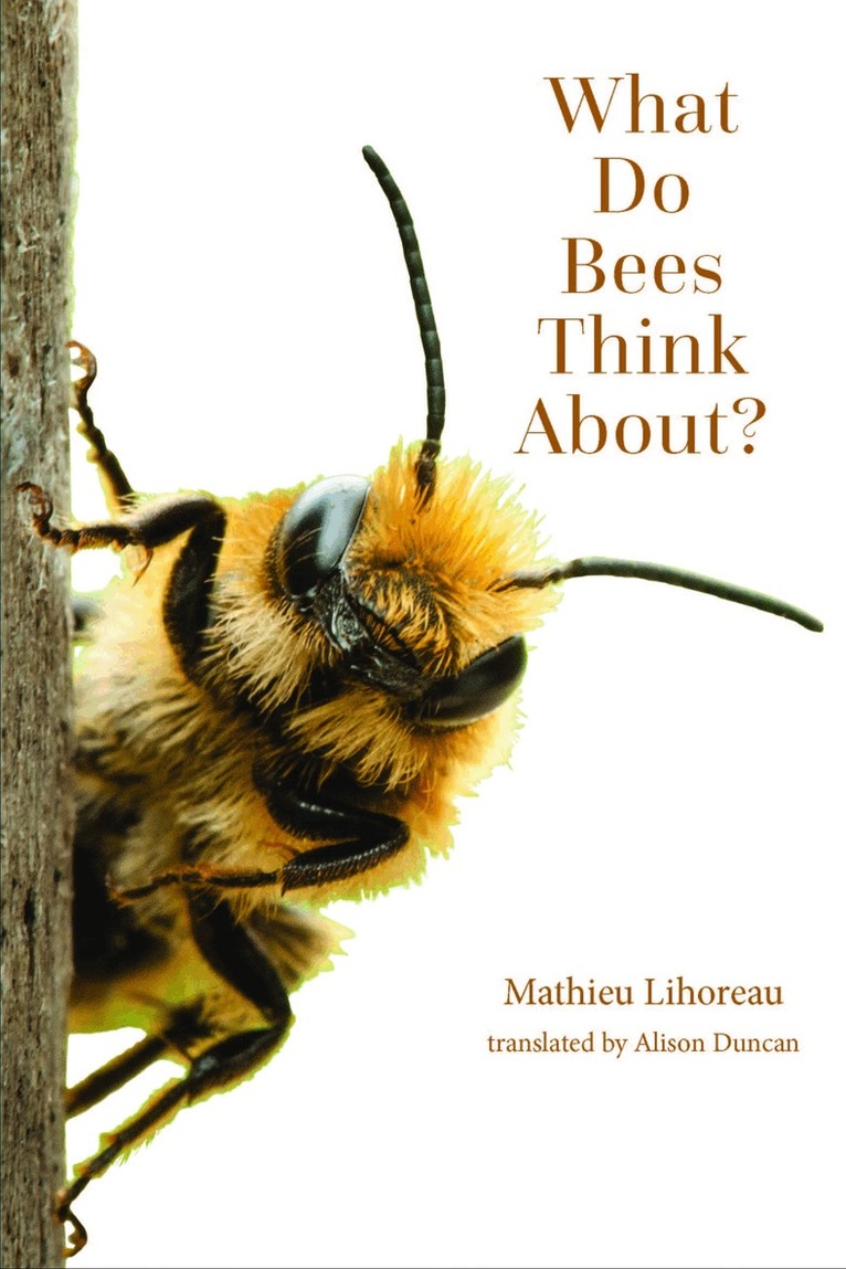 Mathieu Lihoreau - What Do Bees Think About?, Häftad