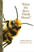 What Do Bees Think About?