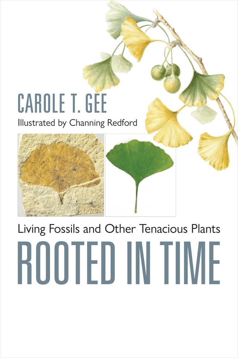 Carole T. Gee - Rooted in Time, Inbunden. Tillgänglighet: Lägg i varukorg