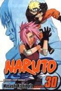 Naruto, Vol. 30