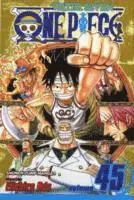 One Piece, Vol. 45