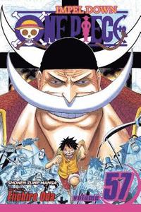 One Piece Vol 66 Eiichiro Oda Haftad Bokus