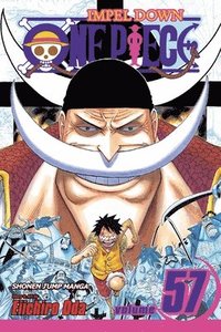 One Piece Vol 66 Eiichiro Oda Haftad Bokus