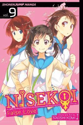 Nisekoi: False Love, Vol. 9 av Naoshi Komi