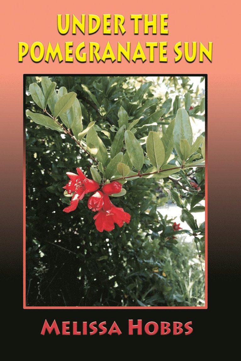 Melissa Hobbs - Under the Pomegranate Sun, Häftad