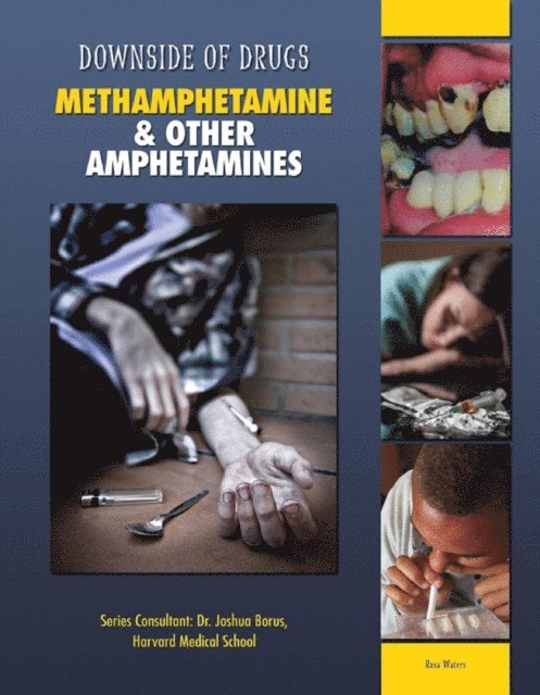 Rosa Waters - Methamphetamine & Other Amphetamines, E-bok. Tillgänglighet: Lägg i varukorg