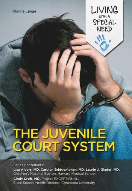 Juvenile Court System