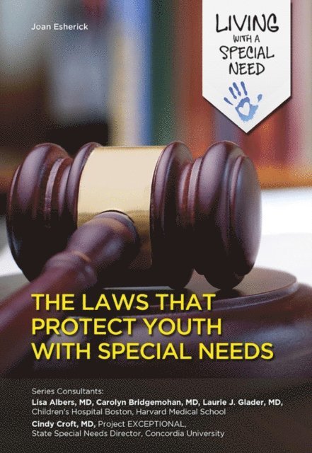 Joan Esherick - Laws That Protect Youth with Special Needs, E-bok. Tillgänglighet: Lägg i varukorg