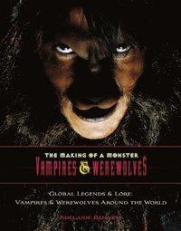 Transylvania and Beyond