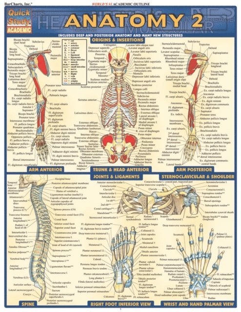 Inc. BarCharts Publishing - Anatomy 2 - Reference Guide (8.5 x 11), E-bok