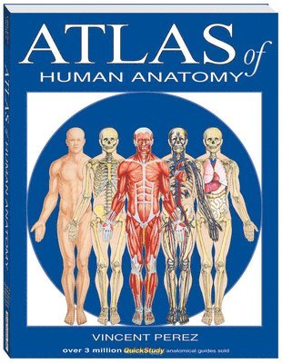 Atlas Of Human Anatomy av Vincent Perez