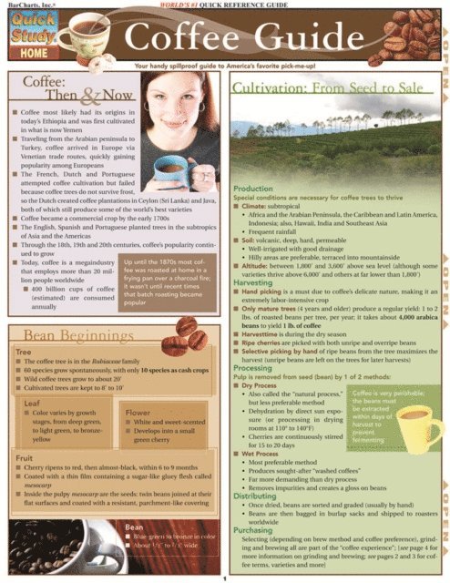 Coffee - Craft & Culture