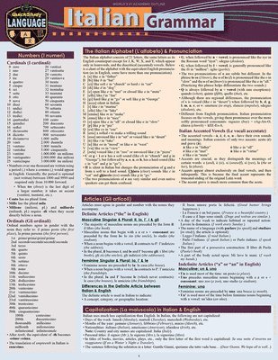 Sally-Ann Delvino - Italian Grammar: A Quickstudy Laminated Language Reference Guide, Häftad