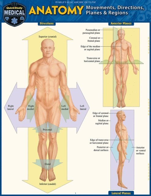 Vincent Perez - Anatomy - Directions, Planes, Movements & Regions, E-bok
