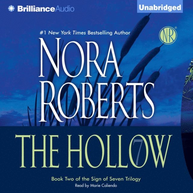 Nora Roberts - Hollow, Ljudbok