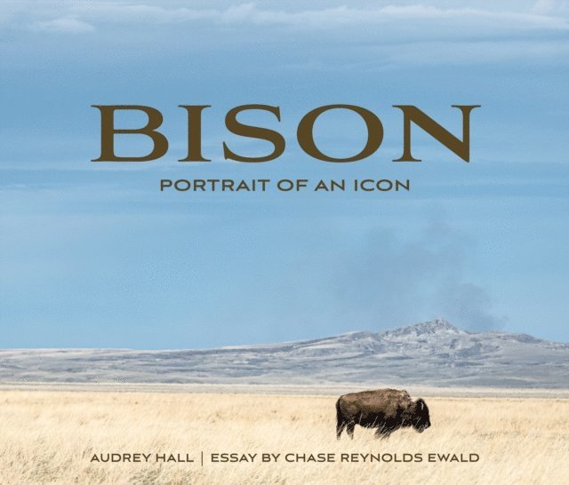 Chase Reynolds Ewald - Bison, E-bok. Tillgänglighet: Lägg i varukorg